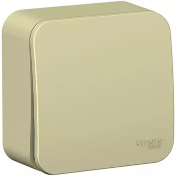 Выключатель одноклавишный (бежевый) Systeme Electric Blanca BLNVA101017