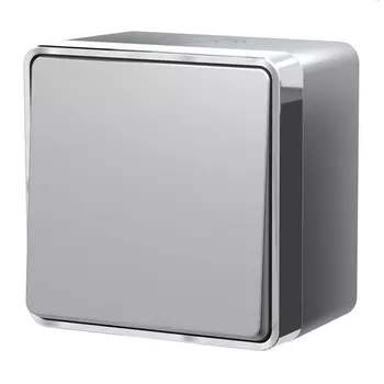 Выключатель одноклавишный влагозащищенный Gallant (серебряный) Werkel W5010206 (a052767)