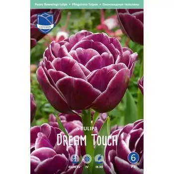 Тюльпан Lefeber Dream touch 5 шт