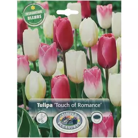 Тюльпан Simple Pleasures Touch Of Romance 18 шт