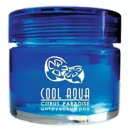 ароматизатор на приборную панель cool aqua цитрусовый рай са-12