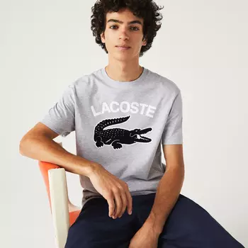 Мужская футболка Lacoste Regular Fit XL с принтом