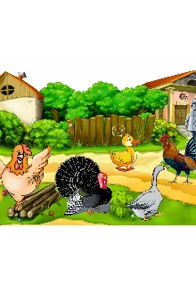 Куриный Переполох