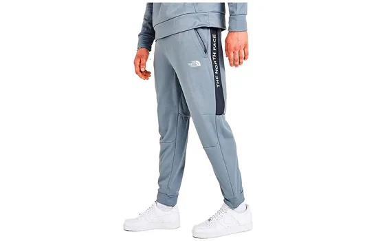 Трикотажные спортивные штаны мужские серые The North Face, серый