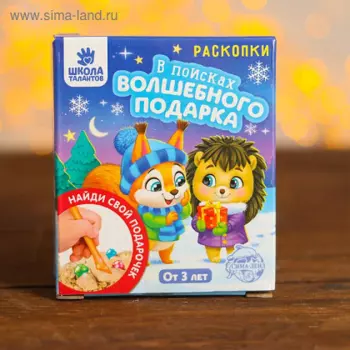 Набор раскопок Школа талантов В поисках волшебного подарка