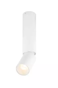 Светильник спот Globo Luwin 55001-8