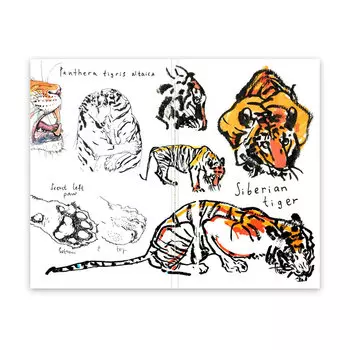 Скетчбук Maxgoodz "Pocket Fox and Owl" А6, 32 л, 100 г Амурский тигр