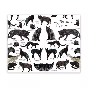 Скетчбук Maxgoodz "Pocket Fox and Owl" А6, 32 л, 100 г Черные кошки