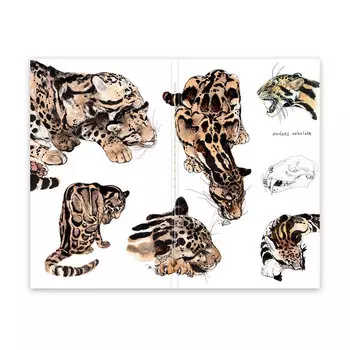 Скетчбук Maxgoodz "Pocket Fox and Owl" А6, 32 л, 100 г Дымчатый леопард