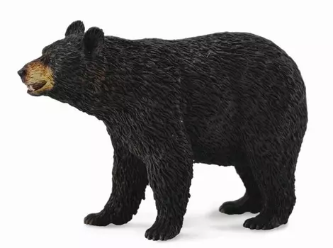 Collecta Американский чёрный медведь