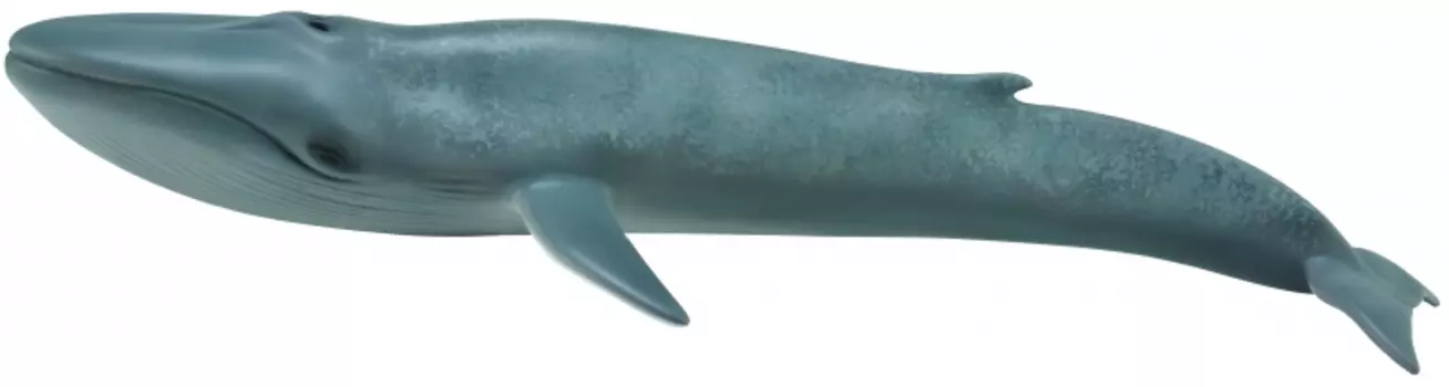 Collecta Голубой кит