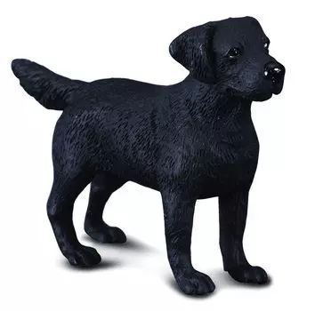 Collecta Лабрадор, M