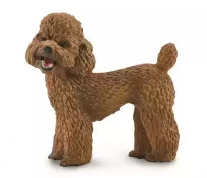 Фигурка Collecta Собака Пудель