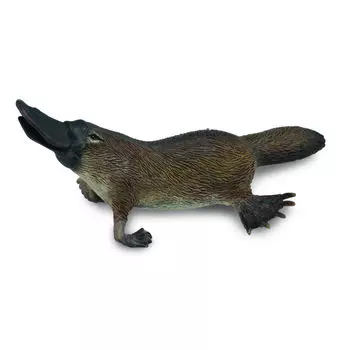 Collecta Утконос, M