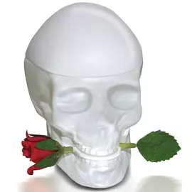 Christian Audigier - Ed Hardy Skulls &amp; Roses for Her (30мл)