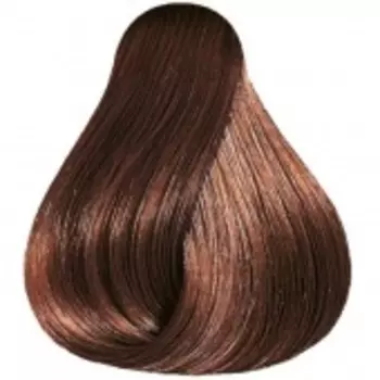 Color Touch Plus - Интенсивное тонирование с формулой Trispectra (95006604, 66/04, коньяк, 60 мл)
