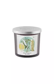 Свеча Mint Leaves & Lime (200g) Pernici