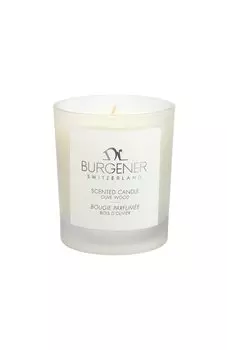 Свеча "Оливковое дерево" (160g) Dr Burgener