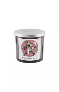 Свеча Fig Leaves & Ivy (200g) Pernici