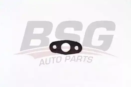 прокладка турбокомпрессора!\ Land Rover, Ford, Peugeot BSG 30-116-099 BSG