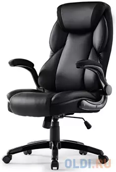 Эргономичное компьютерное кресло Eureka OC11-B, черное