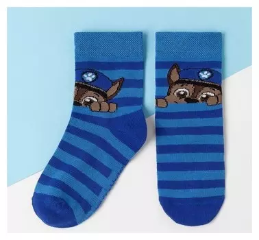 Щенячий патруль. носки PAW Patrol "Гончик", синий/голубой, 16-18 см