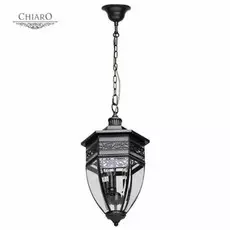 Уличный подвесной светильник 801010403 MW-Light