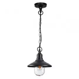 Уличный подвесной светильник Campa Odeon Light 4965/1