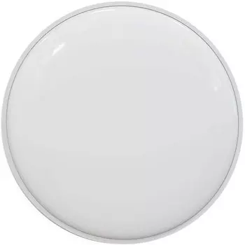 Умный потолочный светильник Yeelight C2001C450 Ceiling Light -450мм YLXD036