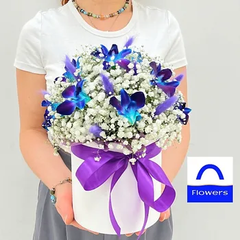 ЛЭТУАЛЬ FLOWERS Букет из гипсофил и космических орхидей в шляпной коробке Сонет