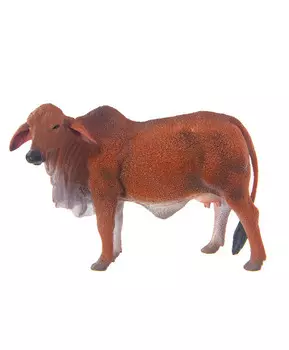 Корова Брахмана рыжая, L