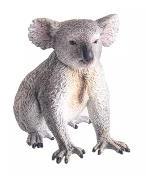 Коала, M