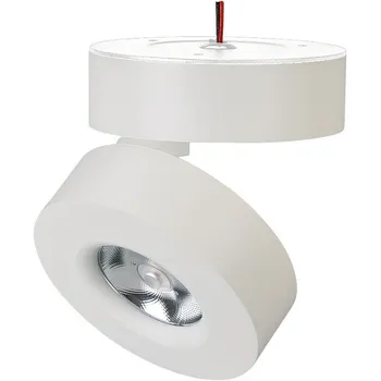 LED спот SP-MONA-SURFACE-R100-12W Day4000 (WH, 24 deg) (Arlight, IP40 Металл, 3 года) 025439(1)