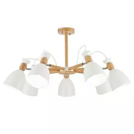 Светильник Evoluce BALCAMO SLE103802-07