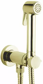 Гигиенический душ Bossini Paloma Brass Mixer Set E37005B.021 со смесителем, С ВНУТРЕННЕЙ ЧАСТЬЮ, золото