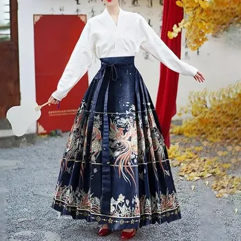 Весенне-осенняя полуюбка Hanfu, одежда, вышитая шелковая плиссированная юбка, новая юбка в национальном стиле, плиссированная юбка с конским лицом One Size чёрный