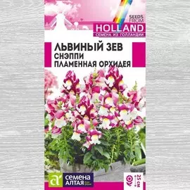 Львиный зев Снэппи Пламенная орхидея
