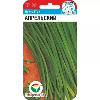 Лук батун Апрельский Сибирский сад