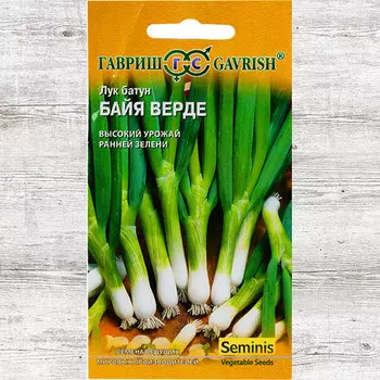 Лук батун Байя Верде Гавриш