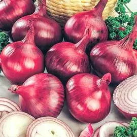 Лук репчатый Ред барон