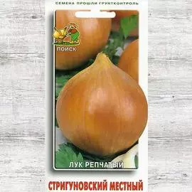 Лук репчатый Стригуновский местный
