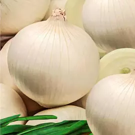 Лук репчатый Ялтинский белый