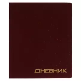Дневник премиум класса 1-11кл балакрон Vigo Va0102, линии с точками, бордовый