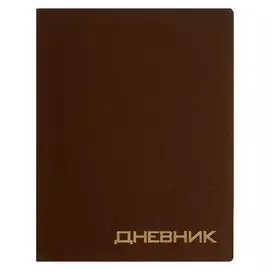 Дневник премиум класса 1-11кл балакрон Vigo Va0605, глиттер, бронза