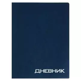 Дневник премиум класса 1-11кл балакрон Vigo Vt0302, паутинка, синий