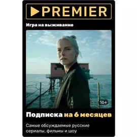 Premier подписка на 6 месяцев