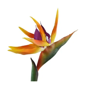 Свадебный декор Strelitzia Reginae Райская птица Поддельные растения Искусственный цветок оранжевый
