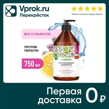 Шампунь для волос Synergetic Против перхоти 750мл