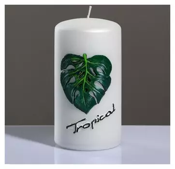 Свеча - цилиндр "Tropical", 7×13 см
