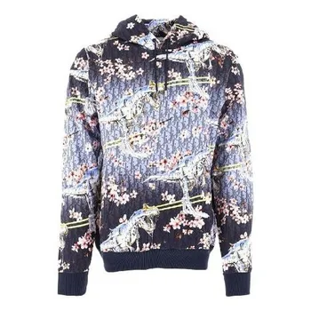 Толстовка x sorayama long sleeve cotton m multi-color Dior, мультиколор